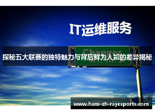 探秘五大联赛的独特魅力与背后鲜为人知的差异揭秘