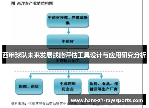 西甲球队未来发展战略评估工具设计与应用研究分析
